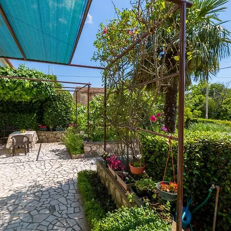 Andelka 卓得诺沃