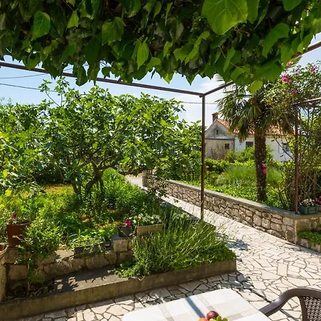 Andelka Holiday home Jadranovo